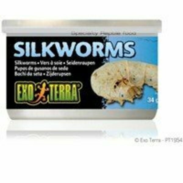 Exo Terra Exo-Terra Medium Silkworms 1.2oz 215
